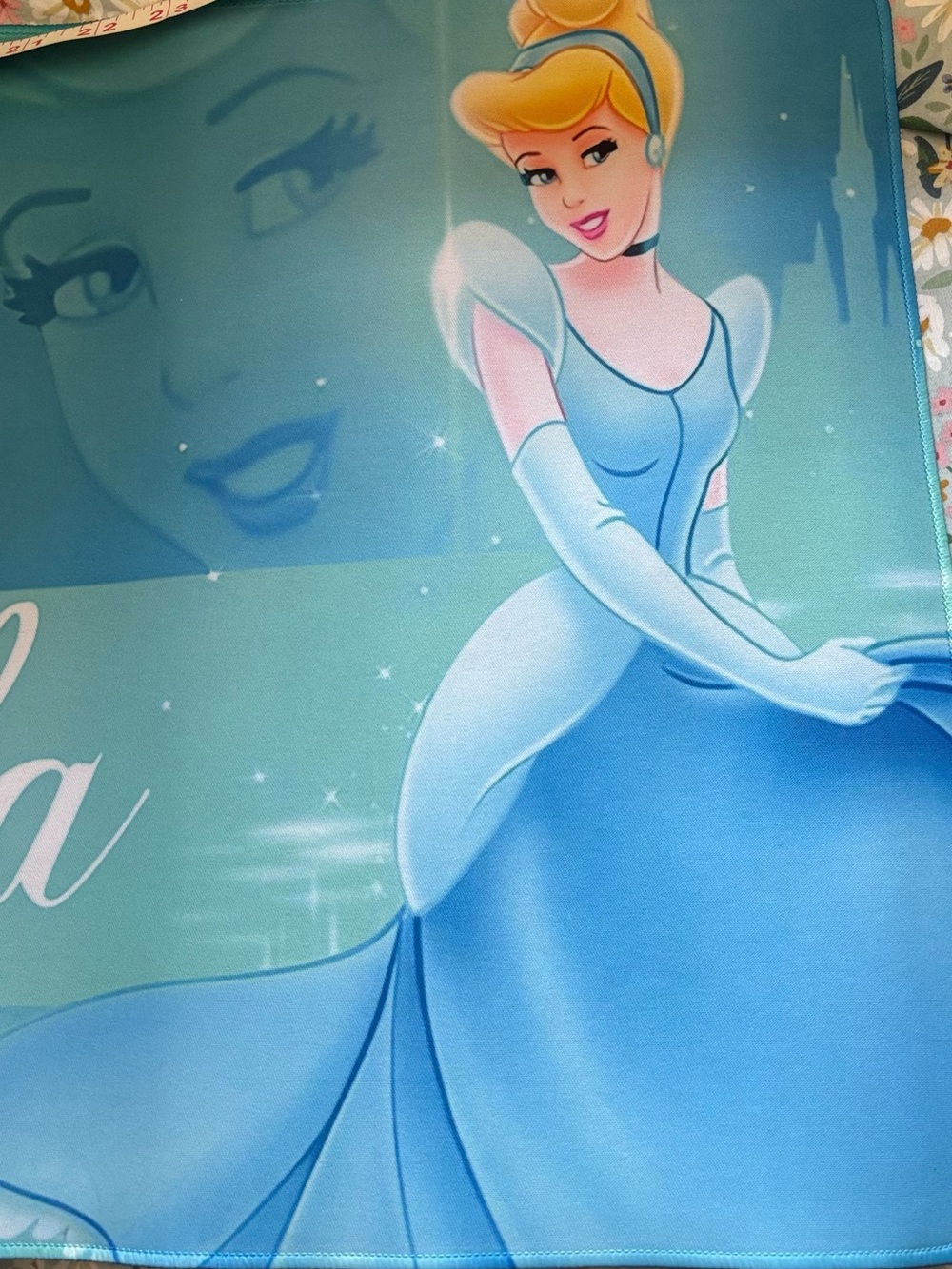 Cinderella large desk pad NWT